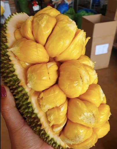 Mít Tố Nữ